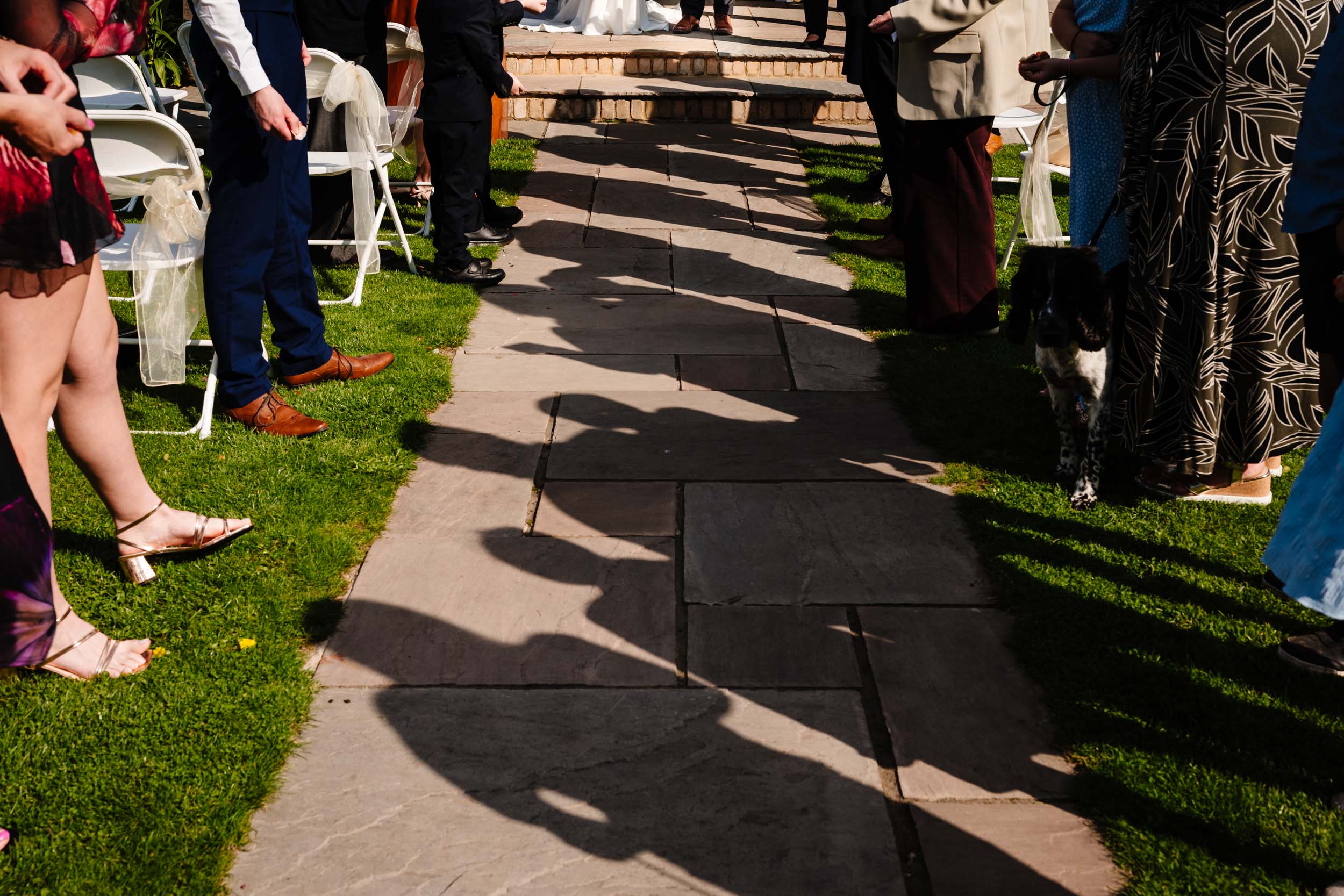 shadows of people lined up for confetti throw
