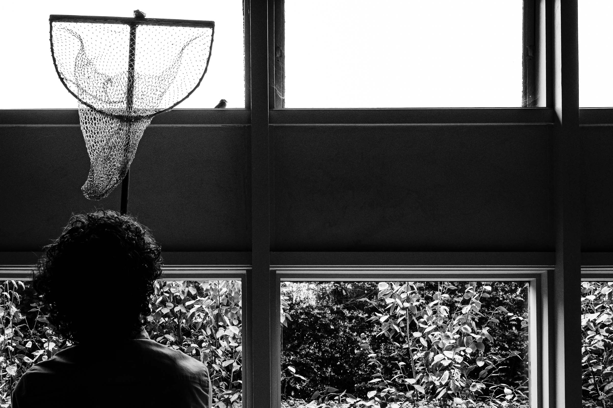 Tom the events coordinator trying to catch a blue tit with a net inside the ceremony barn