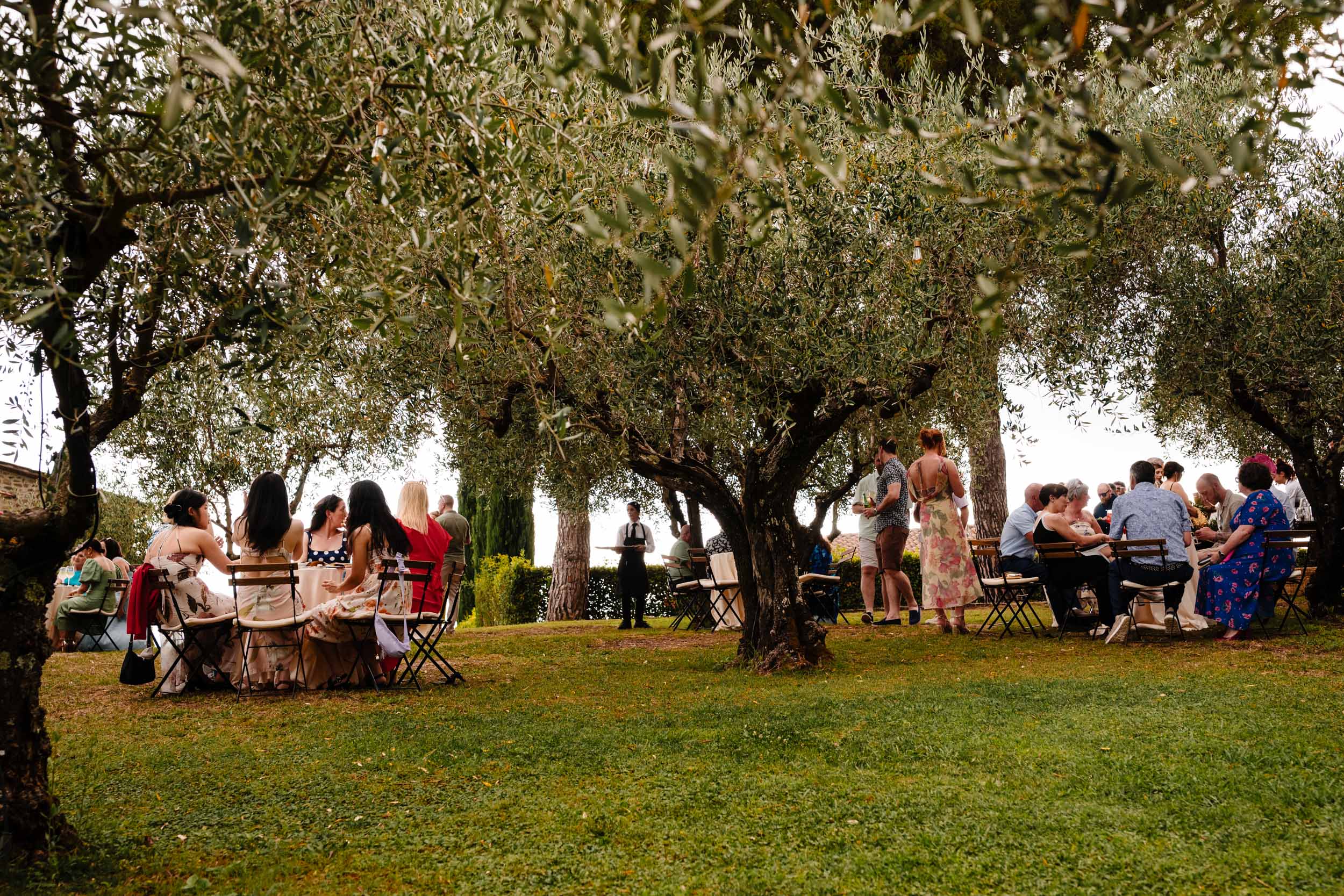 Wedding guests chatting beneath the olive trees during the drinks reception.