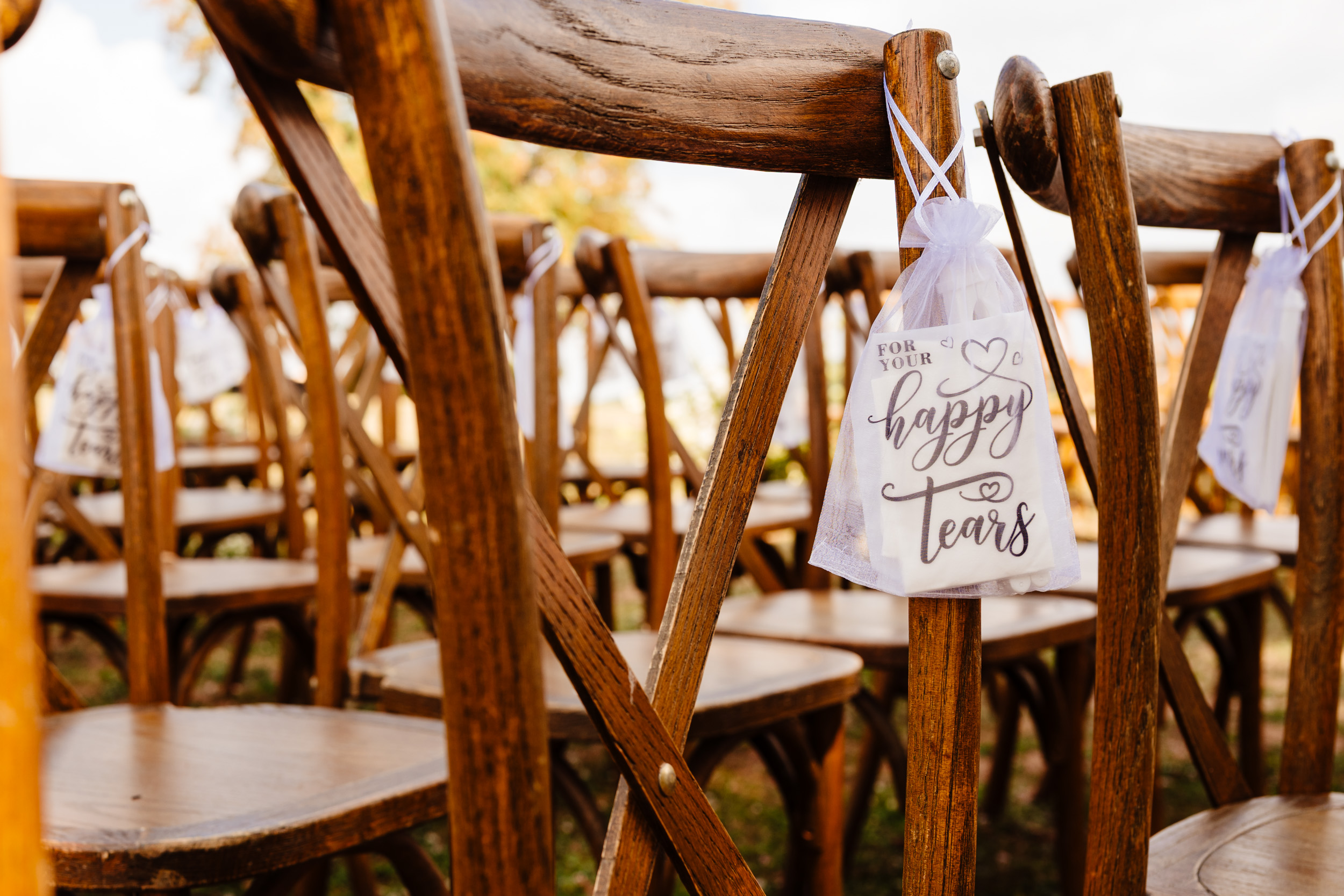Outdoor ceremony chairs set up in the grounds of Chateau de Lerse
