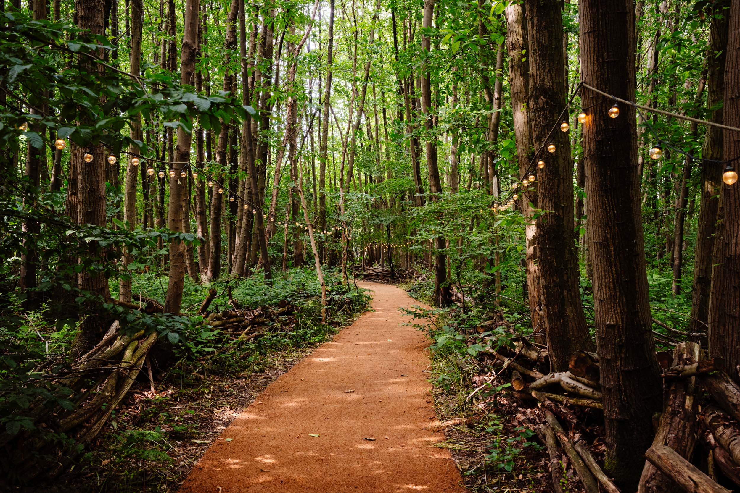 Festoon-lit pathway leading up to The Dreys wedding venue in Kent