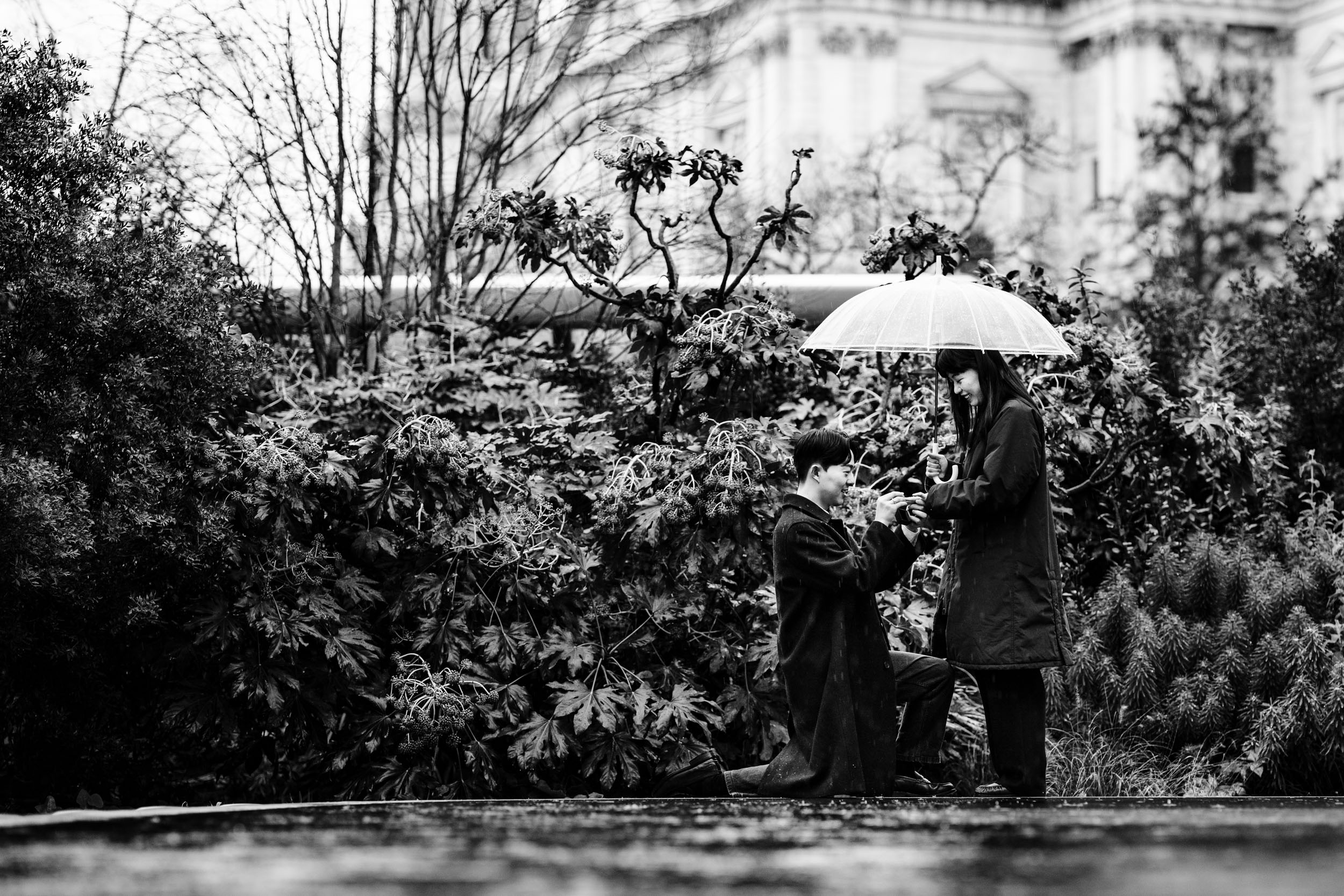 Groom placing the engagement ring on her finger during their St Paul’s Cathedral proposal.