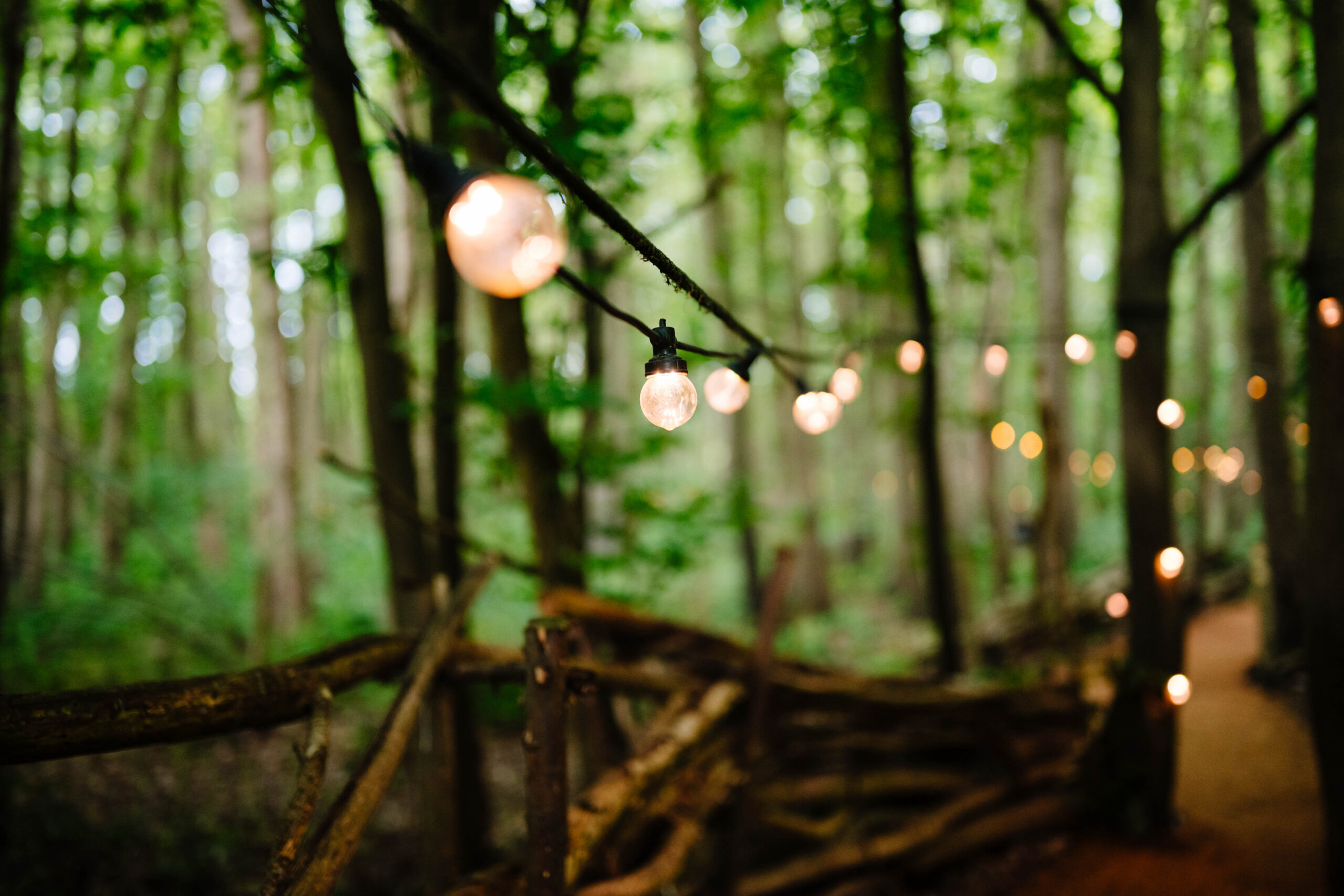 Woodland ceremony space decorated with festoon lights at The Dreys wedding venue.